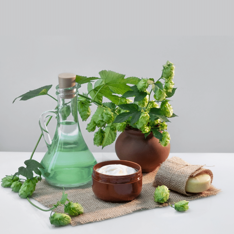 cosmétiques solides